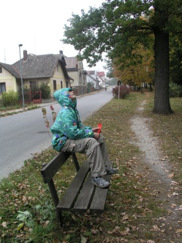 Jeník